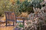 Cactus Garden Bench_72984